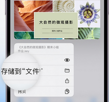 万荣apple维修中心分享iPhone文件应用中存储和找到下载文件