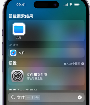 万荣apple维修中心分享iPhone文件应用中存储和找到下载文件 