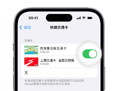 万荣apple维修点分享iPhone上更换Apple Pay快捷交通卡手绘卡面 