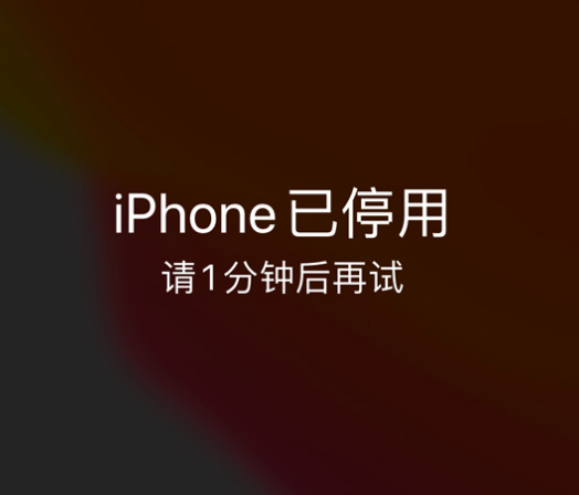 万荣苹果手机维修分享:iPhone 显示“不可用”或“已停用”怎么办？还能保留数据吗？ 