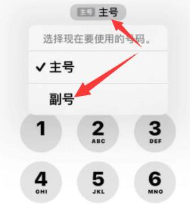 万荣苹果14维修店分享iPhone 14 Pro Max使用副卡打电话的方法 