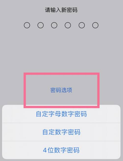 万荣苹果14维修分享iPhone 14plus设置密码的方法 