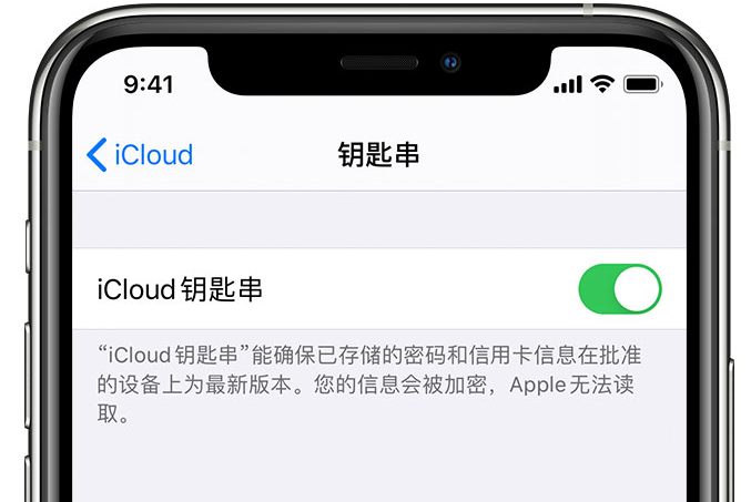 万荣苹果手机维修分享在 iPhone 上开启 iCloud 钥匙串之后会储存哪些信息 