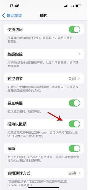 万荣苹果手机维修分享iPhone手机如何设置摇一摇删除文字 